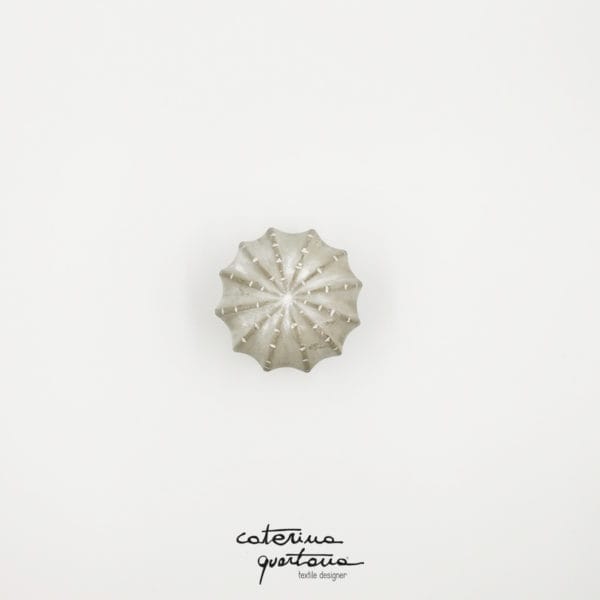 Mini Cactus - Image 2
