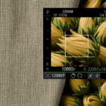 Fibra di Lino e Lana Sarda: Unione di Naturalezza e Comfort - Approfondisci l’uso delle fibre autoctone nella progettazione di tessuti sostenibili.