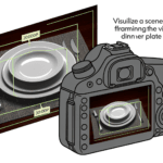 Tovagliette come Cornice del Piatto - Funzione visiva del tessuto.